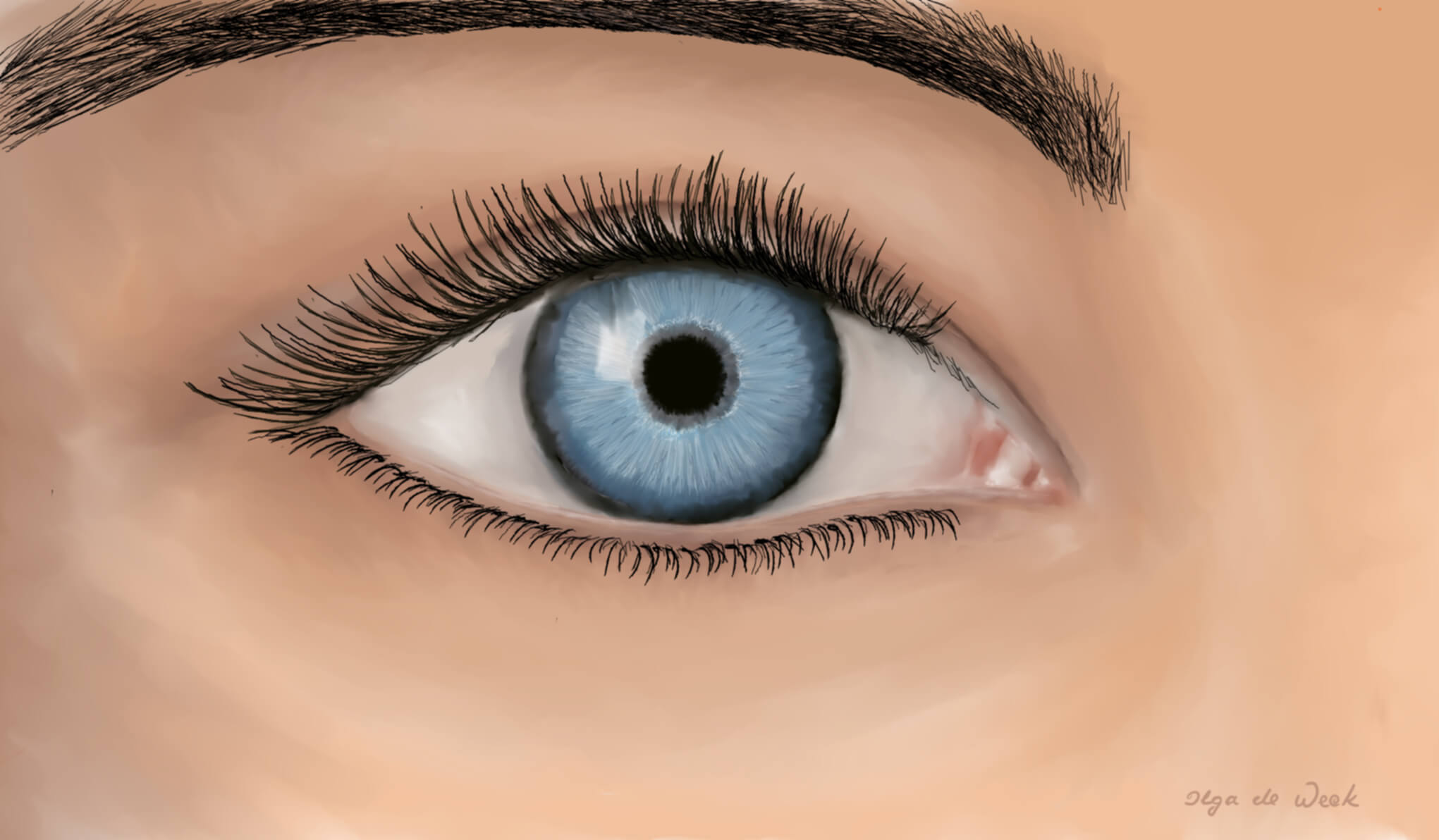 Ciel bleu_OdW_2020