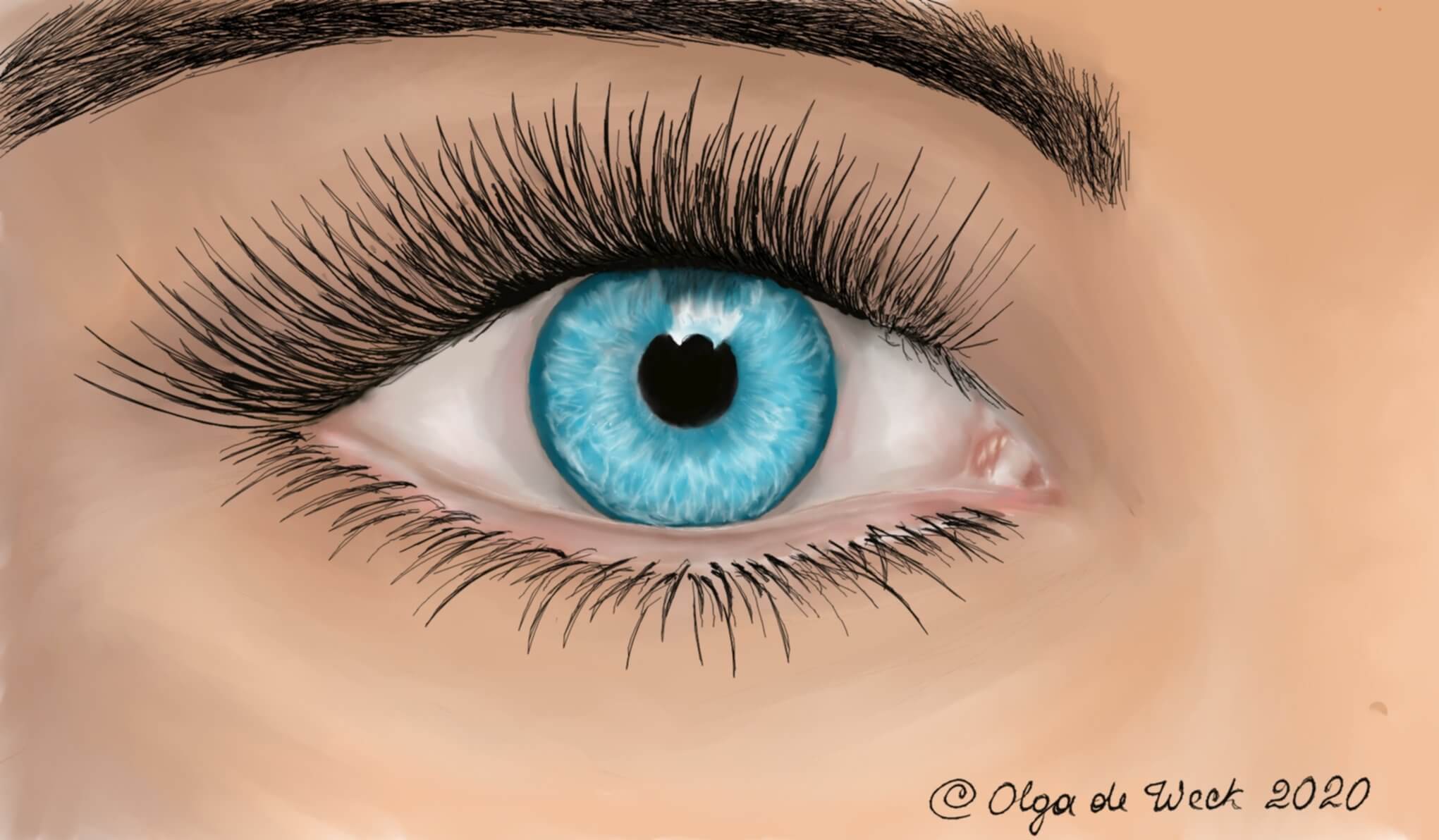 Ton regard_OdW_2020